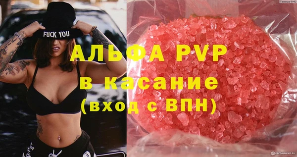 индика Баксан